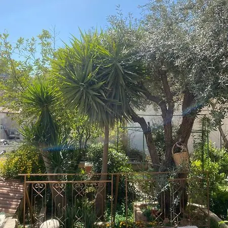 Central House With Beautiful Garden Amman Exterior foto