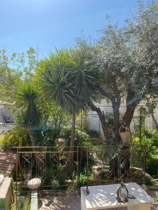 House With Beautiful Garden *