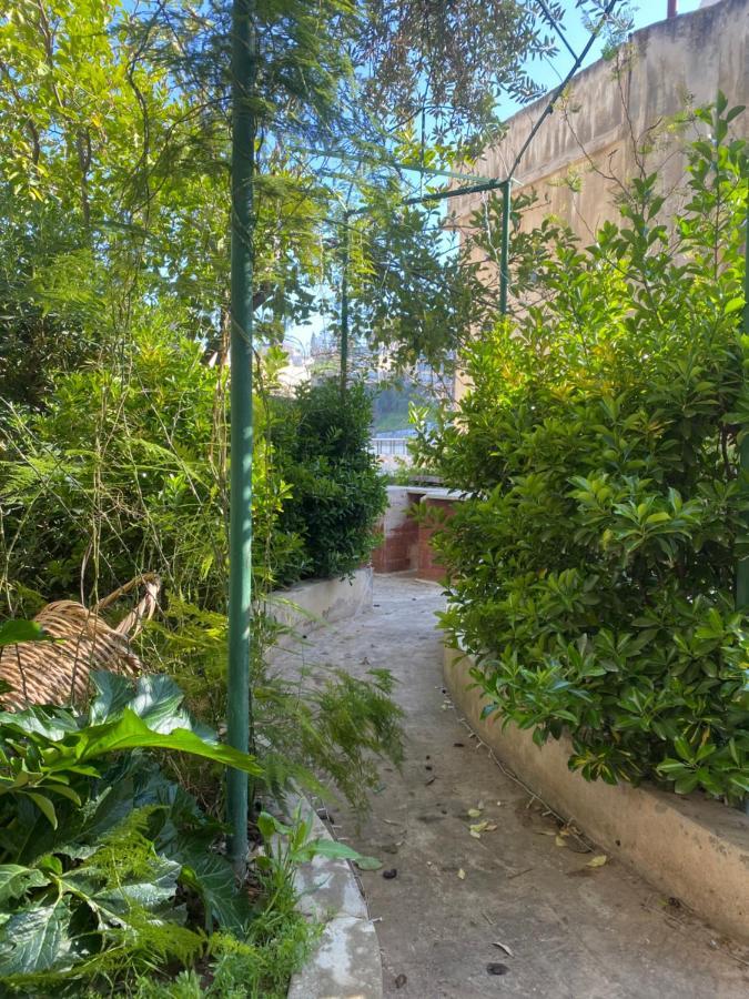 House With Beautiful Garden *