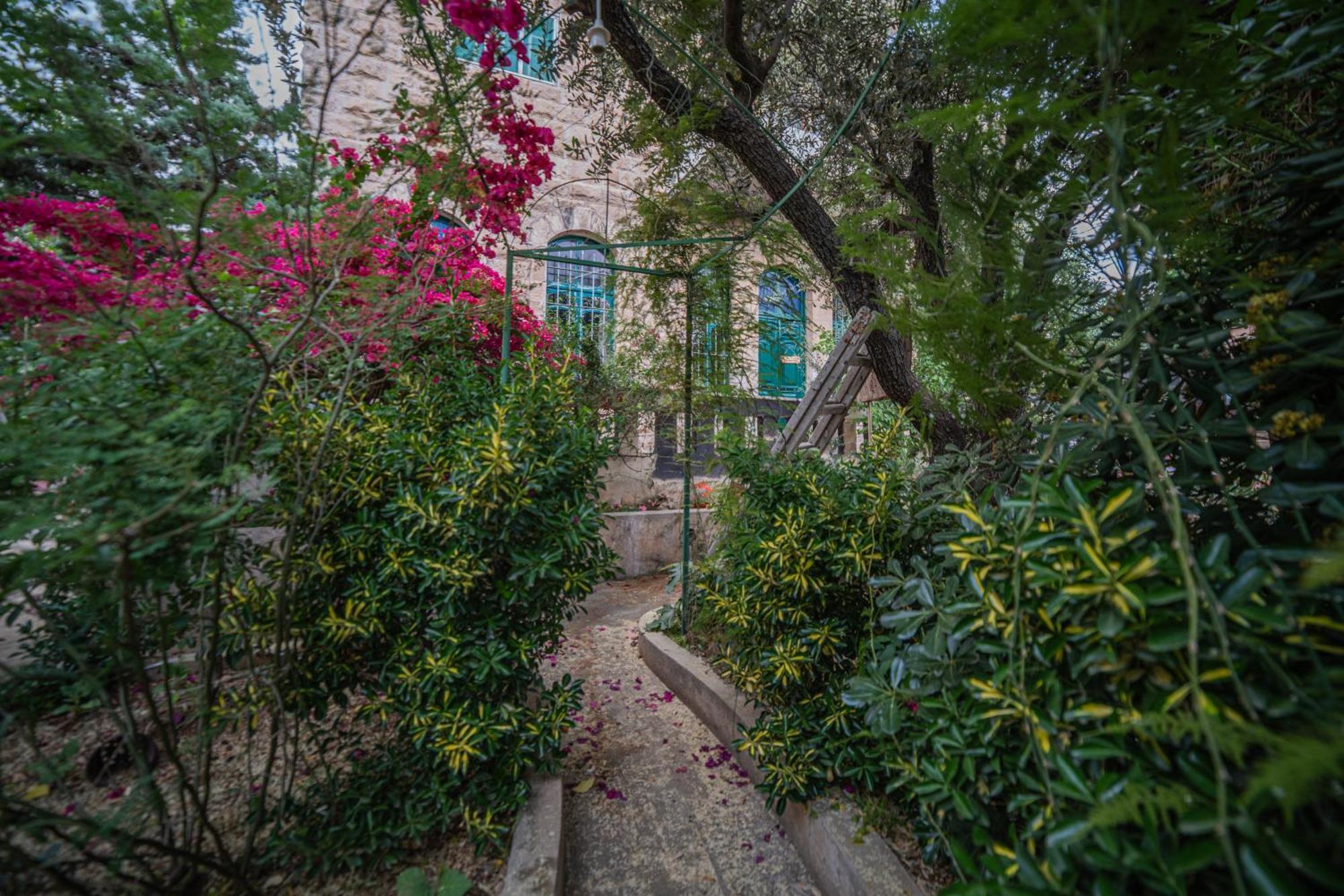 House With Beautiful Garden Apartment