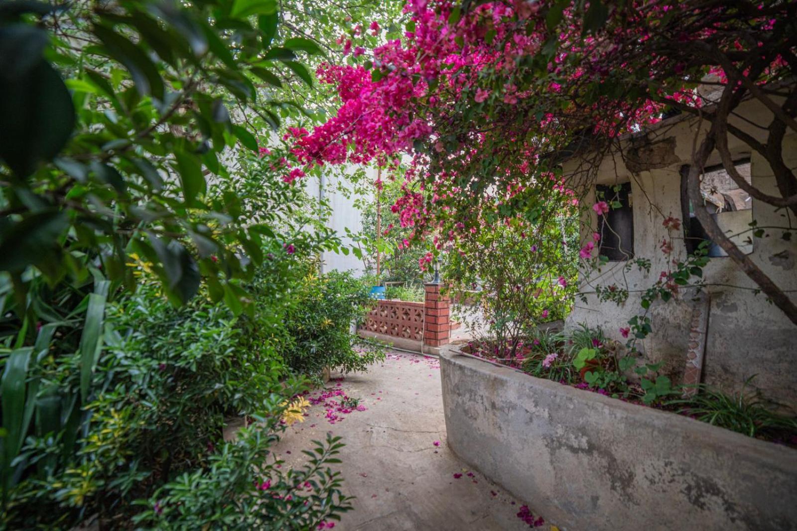 Apartment House With Beautiful Garden Amman
